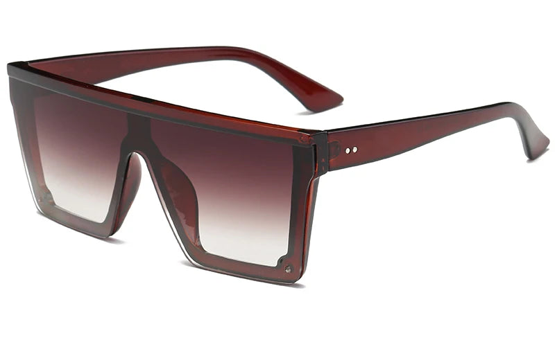 Wayfarer Sunglasses