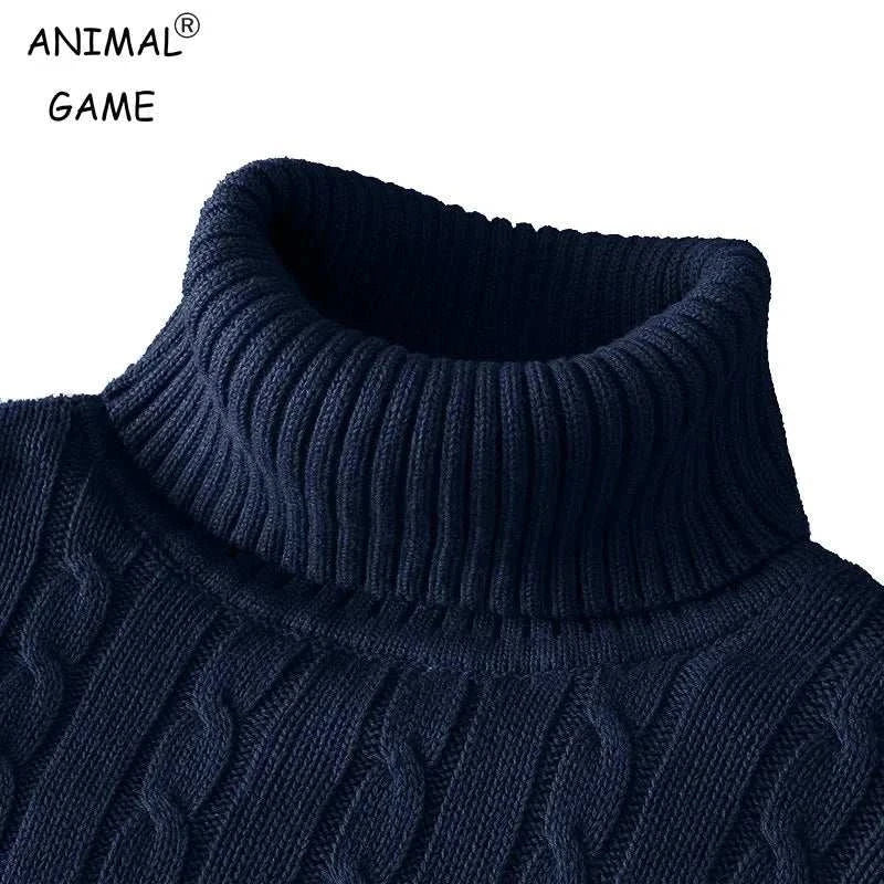 Autum Winter Warm Turtleneck Sweater