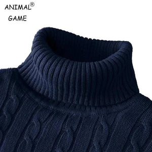 Men's Fashion Style Store Autum Winter Warm Turtleneck Sweater